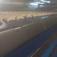 Nastro modulare per panificazione Verona